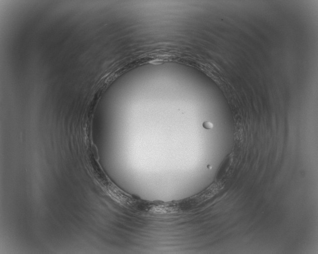 X0000058100568200509230757