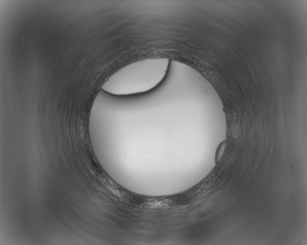 X0000058100569200509230757