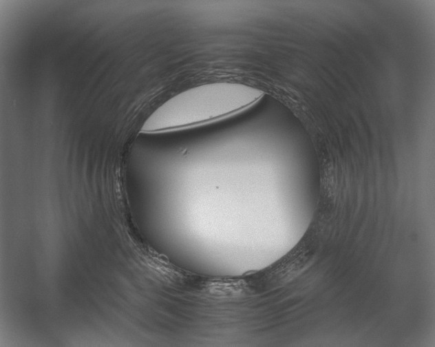 X0000058100571200509230757
