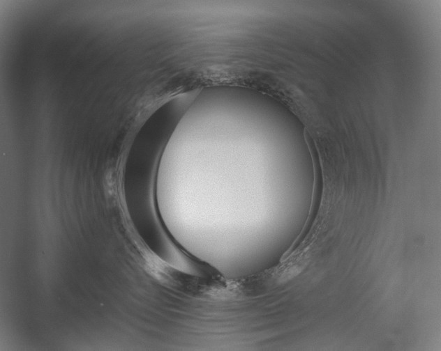 X0000058100576200509230757