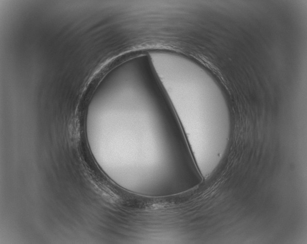 X0000058100584200509230756