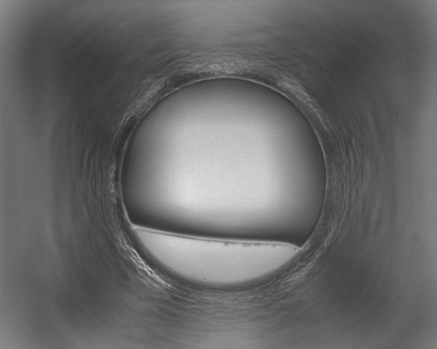 X0000058100585200509230756