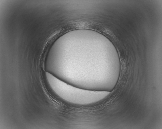 X0000058100587200509230756