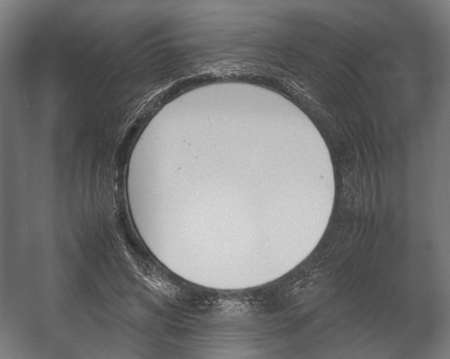 X0000058100592200509230756