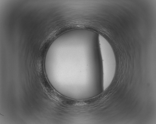 X0000058100595200509230756