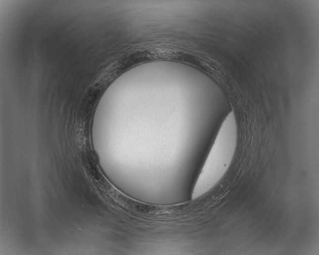 X0000058100599200509230756