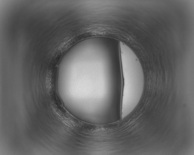 X0000058100600200509230756