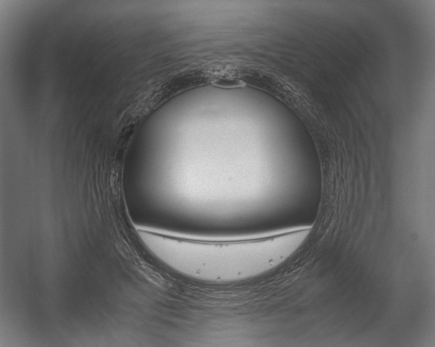 X0000058100601200509230756