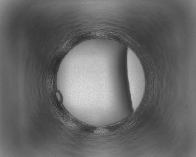 X0000058100603200509230756