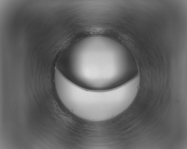 X0000058100604200509230756