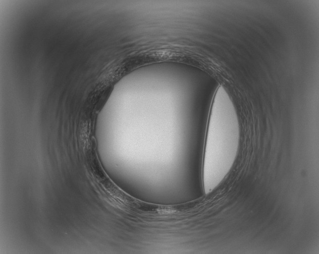 X0000058100605200509230756