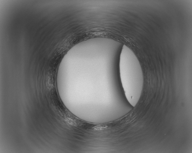 X0000058100606200509230756