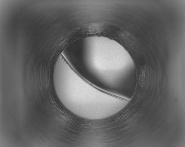 X0000058100608200509230756