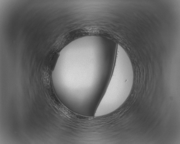 X0000058100609200509230756