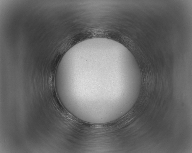 X0000058100610200509230756