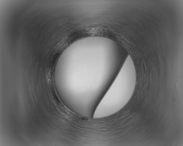 X0000058100611200509230756