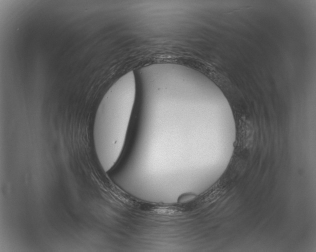X0000058100614200509230756