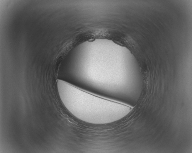 X0000058100619200509230756