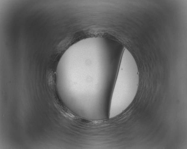 X0000058100623200509230755