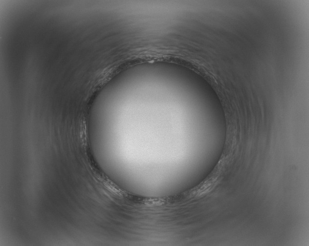 X0000058100624200509230755