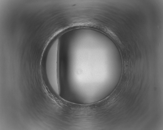 X0000058100628200509230755