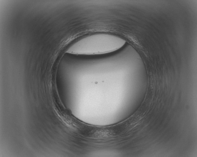 X0000058100631200509230755