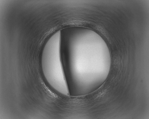 X0000058100633200509230755