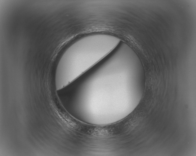 X0000058100640200509230755