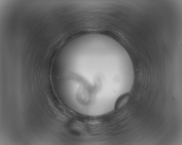X0000058100643200509230755