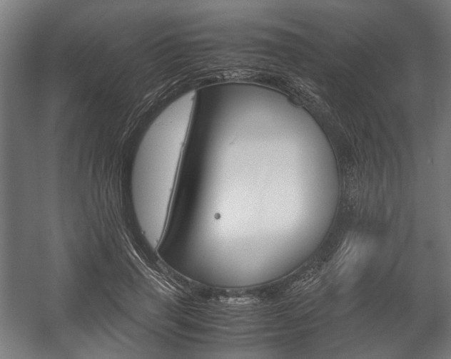 X0000058100645200509230755