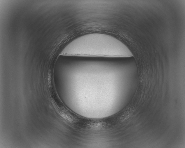 X0000058100646200509230755