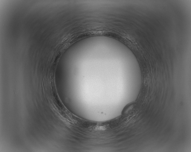 X0000058100647200509230755