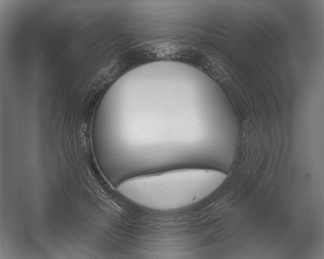X0000058100650200509230755