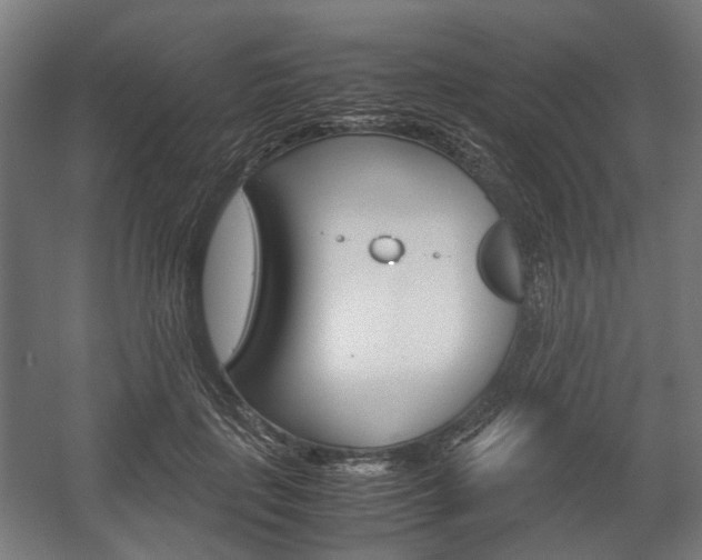 X0000058100651200509230755