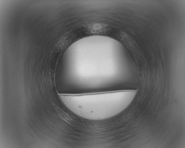 X0000058100653200509230755