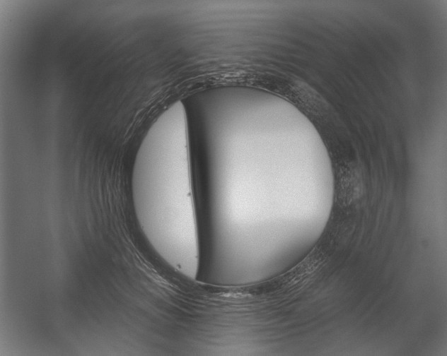 X0000058100654200509230755