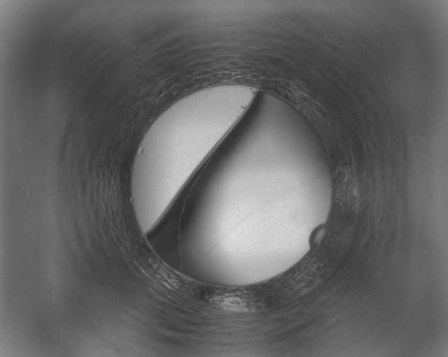 X0000058100655200509230755