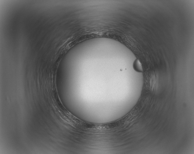 X0000058100656200509230755