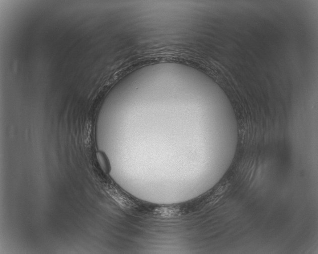 X0000058100660200509230755