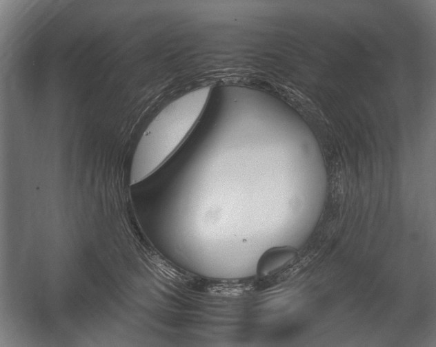 X0000058100661200509230755