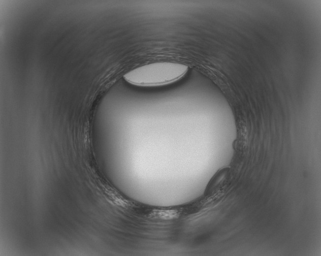 X0000058100665200509230755