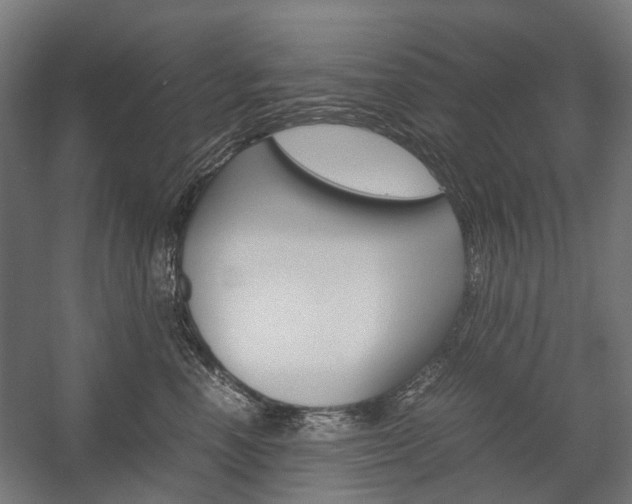X0000058100666200509230755