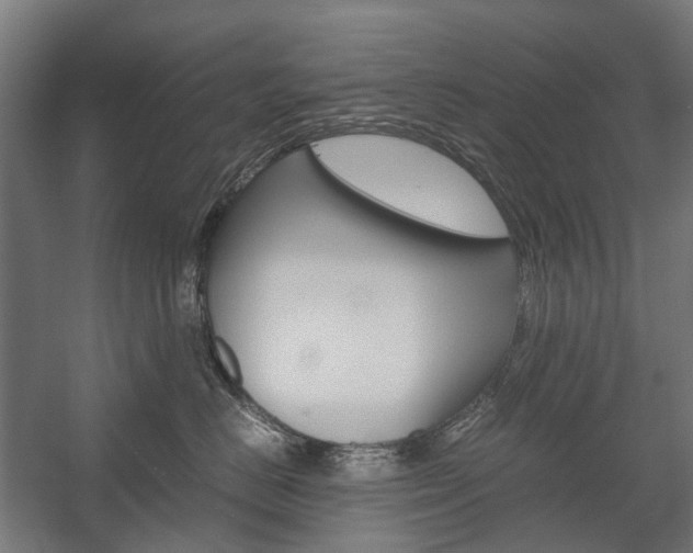 X0000058100670200509230755