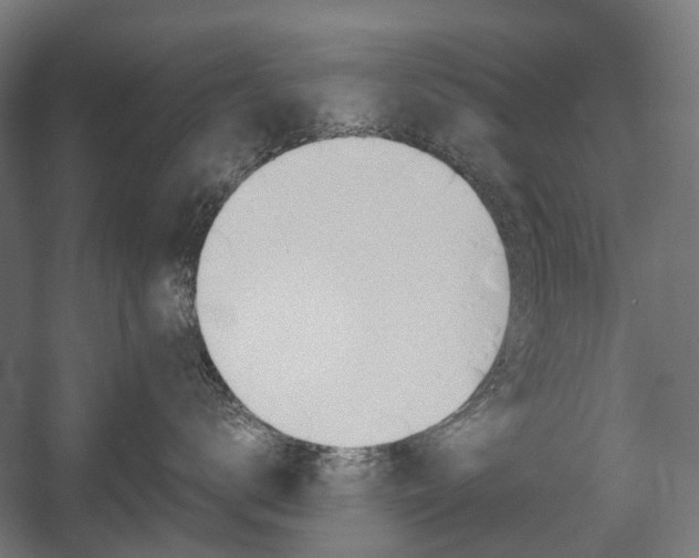 X0000058100672200509230755