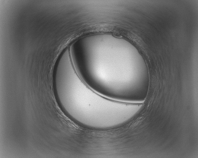 X0000058100673200509230755