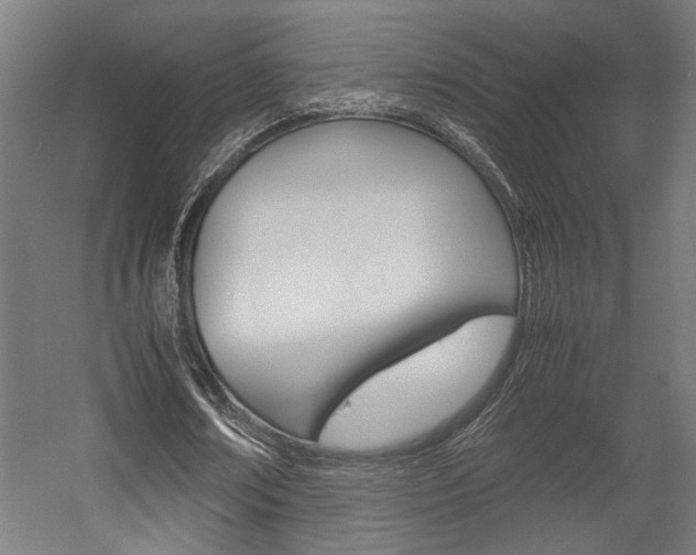 X0000058100674200509230755