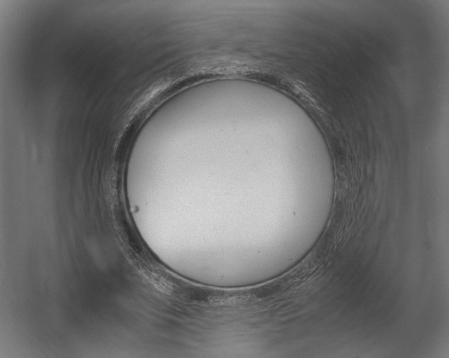 X0000058100679200509230755