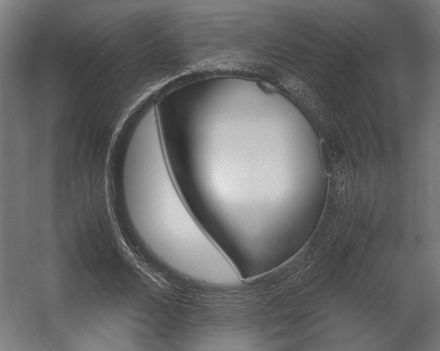 X0000058100680200509230755
