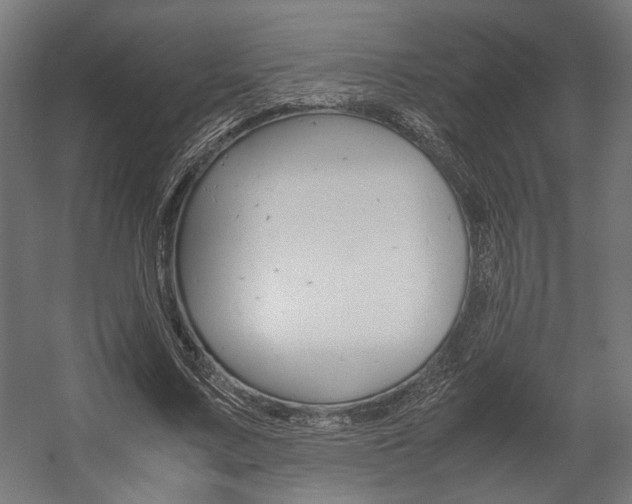 X0000058100683200509230754