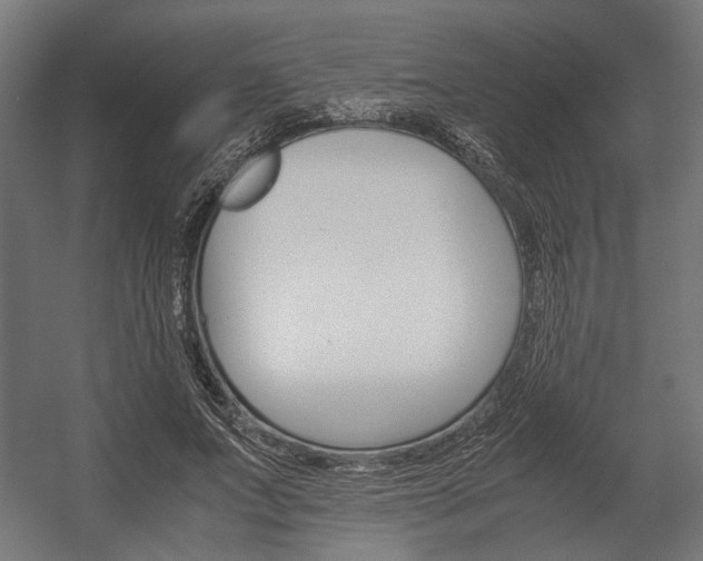 X0000058100687200509230754